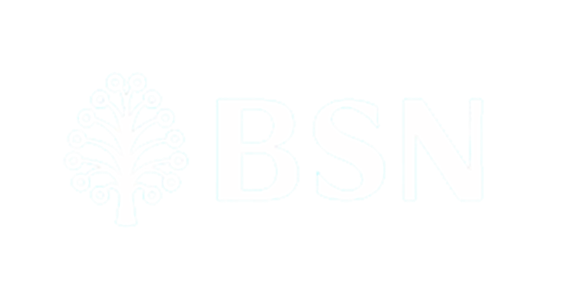 BSN msme digital grant